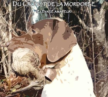 Du Crohot De La Mordorée